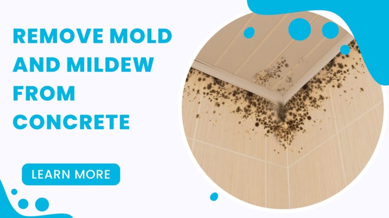 How to Remove Mold and Mildew From Concrete?